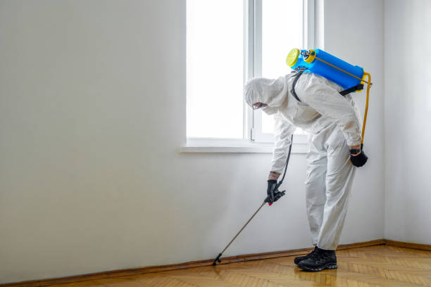 Indoor Pest Control in Glencoe, FL